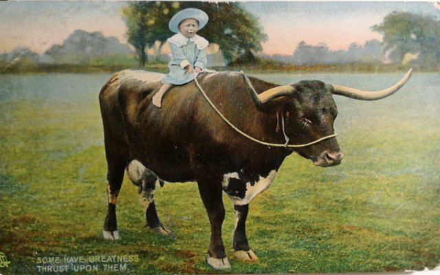 Some have greatness thrust upon them vintage postcard sent 1906